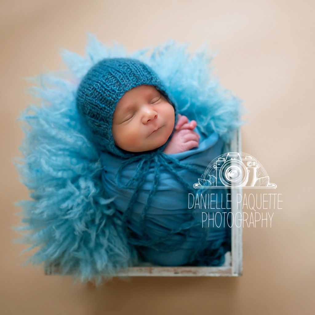 Baby boy studio newborn portrait in blue.