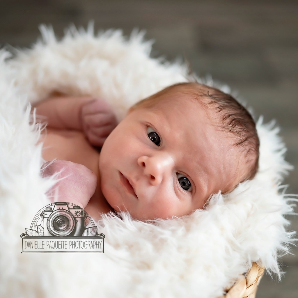 Bright eyed newborn in soft basket